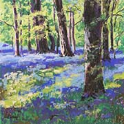 Bluebell Wood, Lanhydrock, Cornwall by Christopher Droop