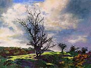 Moorland Tree on a Sunlit Bank by Christopher Droop