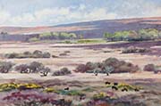 Wide Moor, Cherrybrook, Dartmoor by Christopher Droop