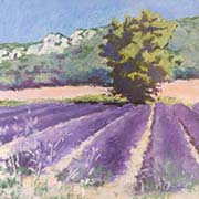 Lavender Field, Drome Provencale by Christopher Droop