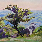 Hawthorn and Rocks, Bonehill, Dartmoor by Christopher Droop