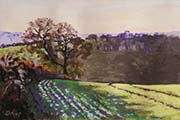 Winter sunshine, South Hams by Christopher Droop