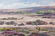 Wide Moor, Cherrybrook, Dartmoor by Christopher Droop