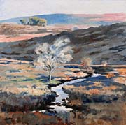 View Near Two Bridges, Dartmoor by Christopher Droop